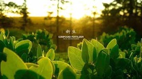 ���ݼS��o����̎���ЙC���O(sh��)�乤ˇ���E