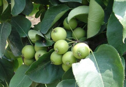 �ЙC���O���ƽ���D�������C����ע���������Щ��?