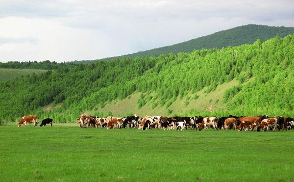 �ЙC���ИIǰ����ô�ӣ�