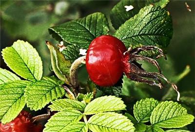 ��(gu��)�Ҍ�(du��)�ЙC(j��)�����a(ch��n)֧�����߅R��