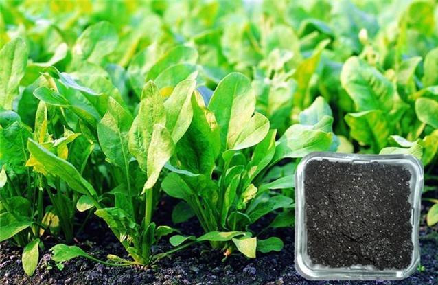 ���������ЙC�ʰl(f��)�ͼ��g����Щ��(y��u)�c?