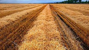 �ն������ЙC�ʵķ������O������