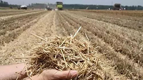 �����r����ն������ЙC�ʵļ��gҪ�c��