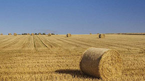 �ն��ЙC�ʼӹ����蹤ˇ�c�O��