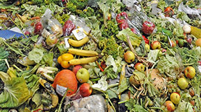 有機(jī)肥原料有哪些?