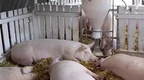 ����B(y��ng)�i����ô̎���S�۵ģ��@Щ����ֵ�ÌW(xu��)��(x��)��