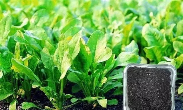 �ЙC�ʏS����