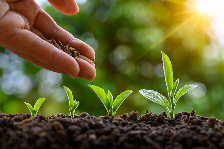 �҇��ЙC�r�I�����ʬF���傀�lչڅ��