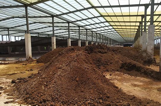 �ЙC���ϰl��