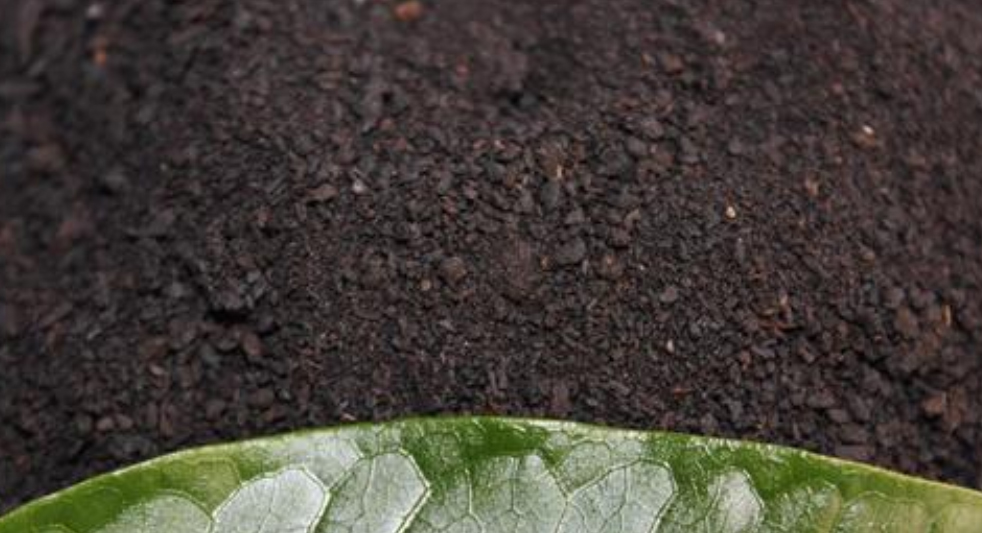 �����ЙC��