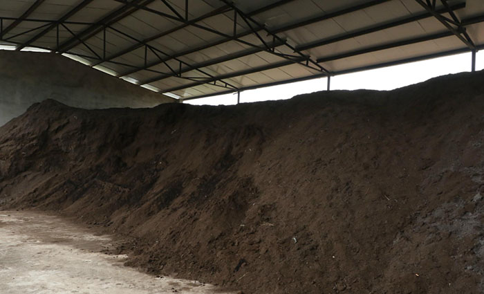 ԭ���c�o�ϵİ�ȫ�Ԍ�΢������ϵ�Ӱ�