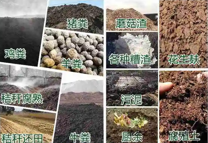 �ЙC�ʰl��ԭ������