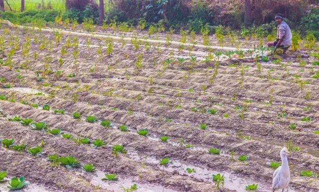 �ЙC�ʳ�Ҋ�����a��ˇ���}����Q��ʩ