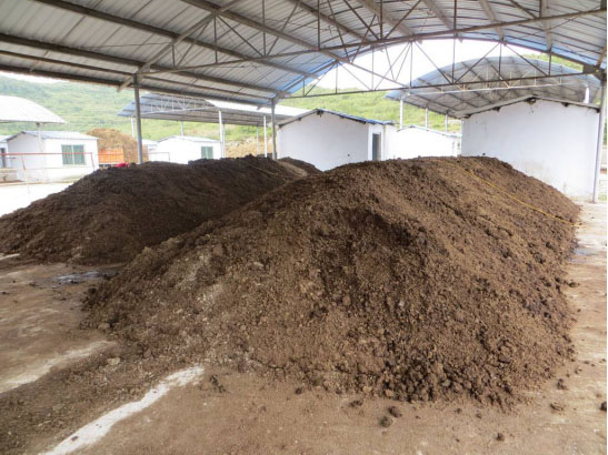 �ЙC�ʰl�͵�Ӱ����ؼ������