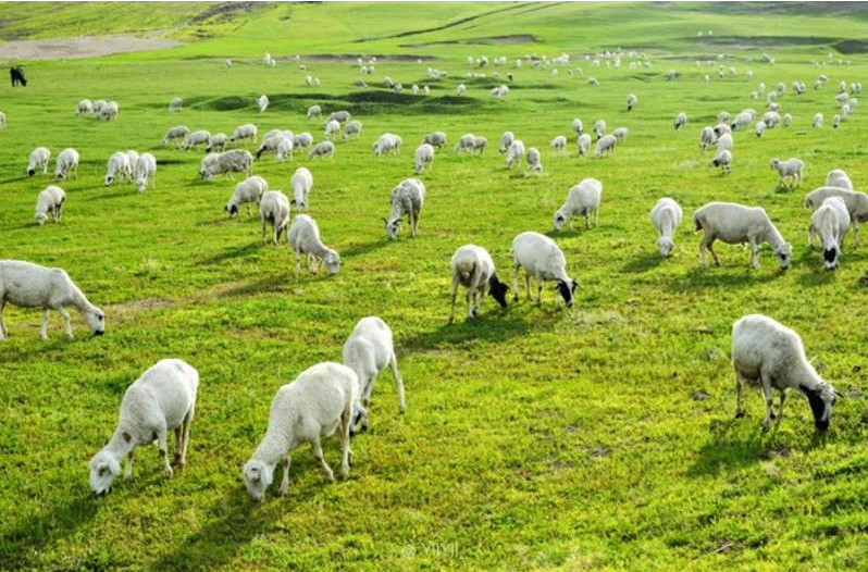 ʹ����S�����ЙC(j��)����Ҫʲô�ЙC(j��)���O(sh��)����