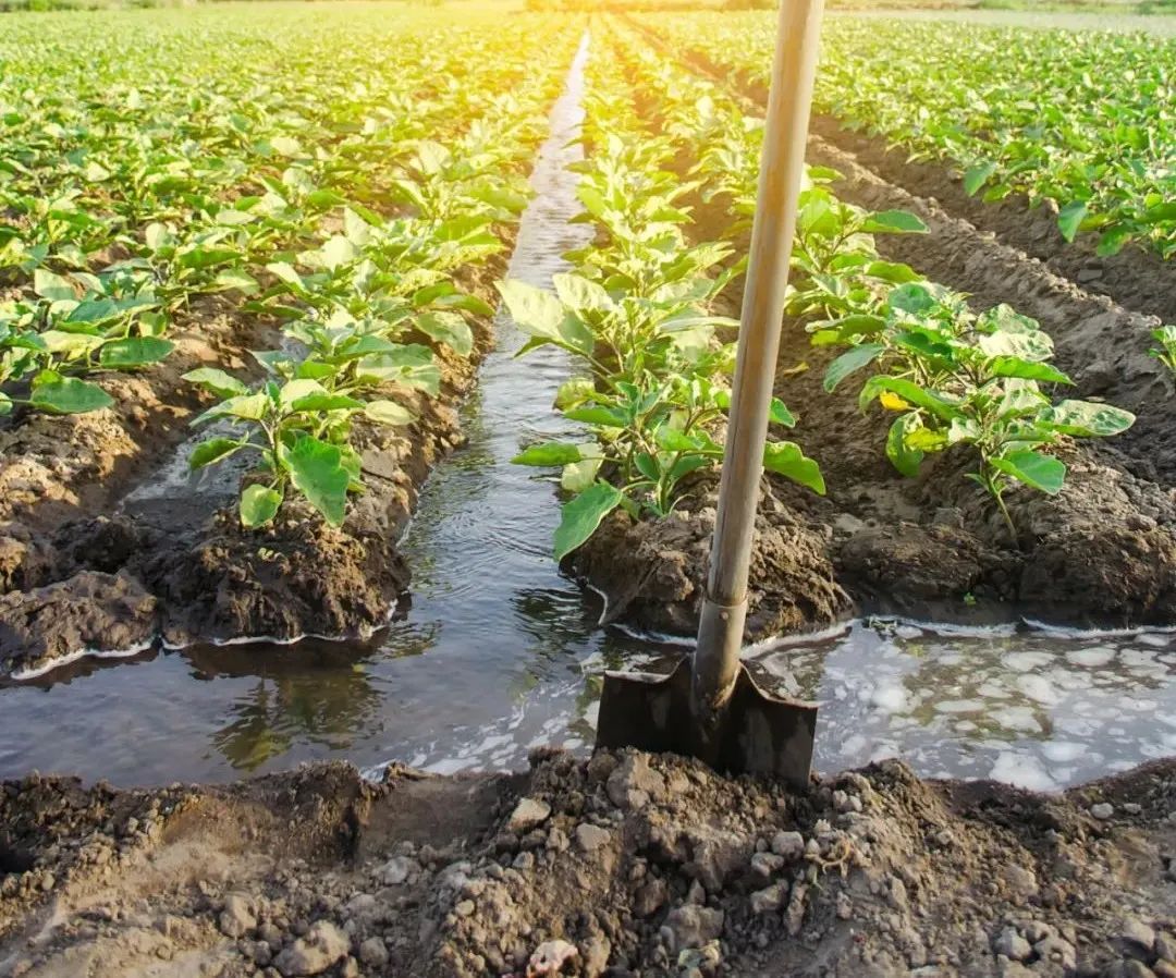 �ЙC(j��)�ʵ��傀(g��)�l(f��)չڅ��