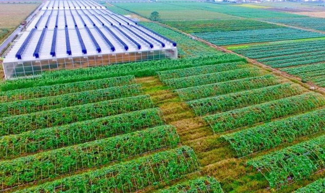 �ЙC(j��)�ʰl(f��)չڅ�ݜ\Մ