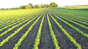 δ���������S�㲻���ЙC(j��)����