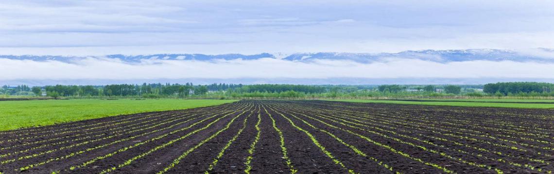 ΢������ϵ��׺ò��ã������@ƪ�������֪���ˣ�