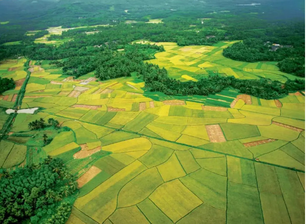 �r�U�w�ﻯ���� �ۼS׃���d�a�I