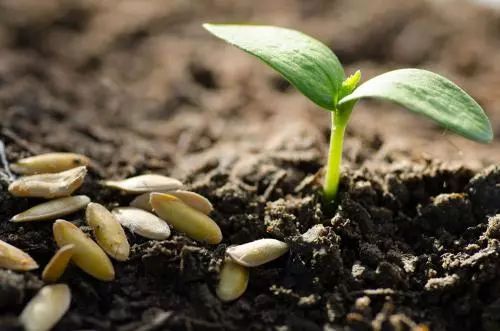 �ɴ�ԭ����V�㣬���Ҫ���û��ʣ������ЙC�ʣ�