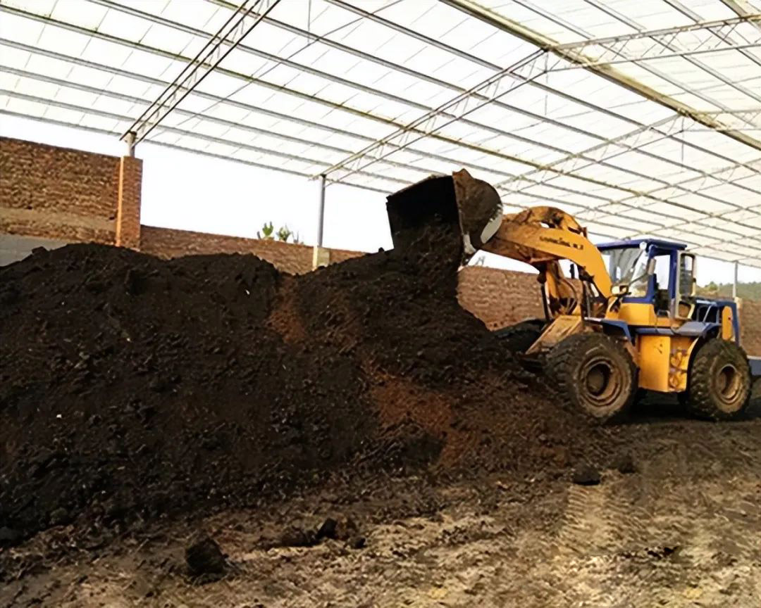 �B(y��ng)ֳ���ļS�ۿ��������������ЙC(j��)�ʆ᣿