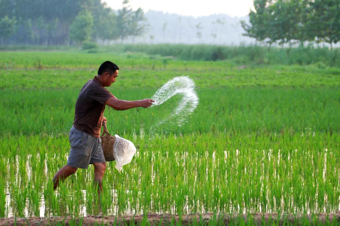 �ЙC(j��)�ʵİl(f��)���^(gu��)�̣�