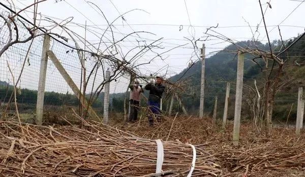 ����(sh��)�U֦�����ɺܺõ��ЙC(j��)��