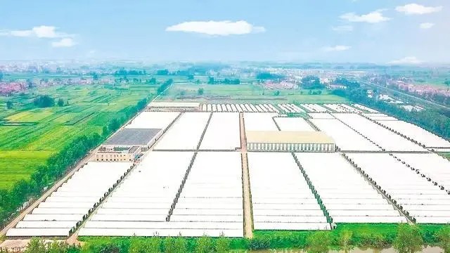 �Ƀ|ֻ��򾹰�������ЙC��