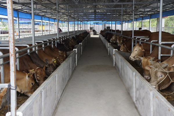 �Bţ����ţ�S���̎�����ЙC����