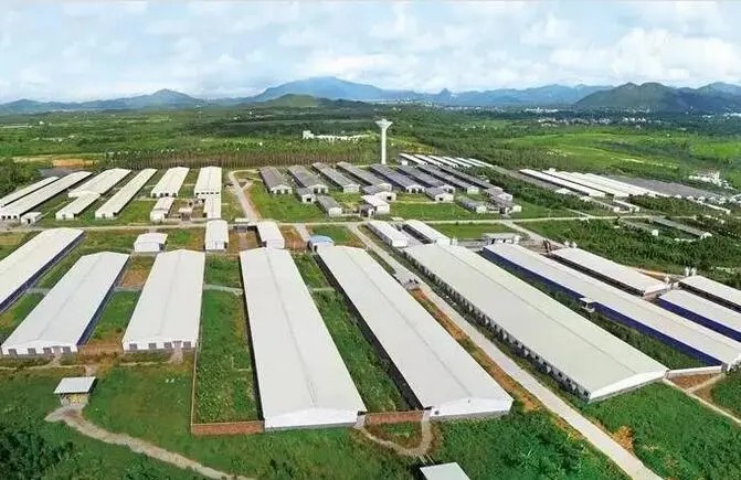 ��ο����Д��ЙC���|���ĺÉ���