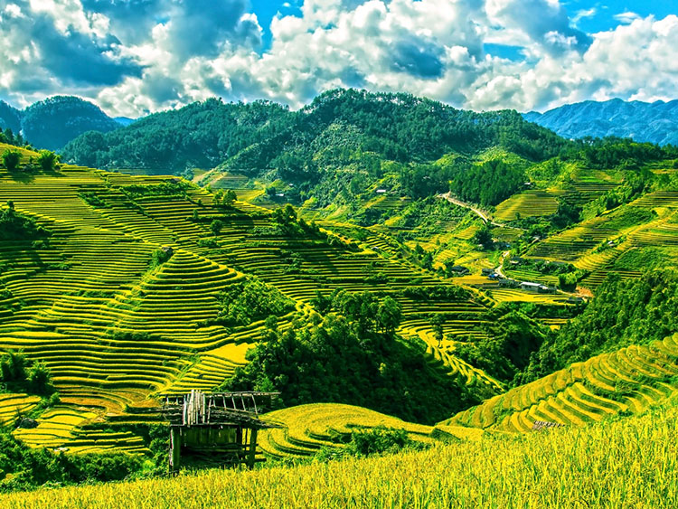 ����Щ���������a�������е��ЙC�|