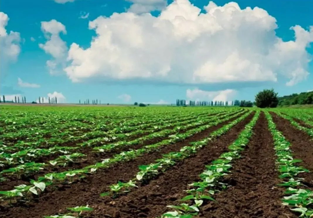 �҇���������Ҏģ�Bֳ��ȫ�����׼S��̎���Oʩ�b��