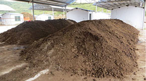 �I�B�����a������Ҫ��Щ�O����