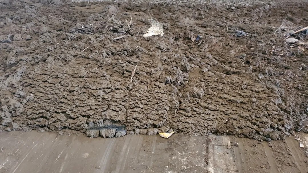 �����ѷ� ׌���ࡰ׃�U�錚��