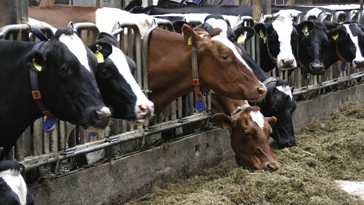 ţ�S��ô̎�����o��֧����