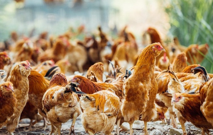 ��һ�N�Bֳ���U����̎����ʽ���m���㣿